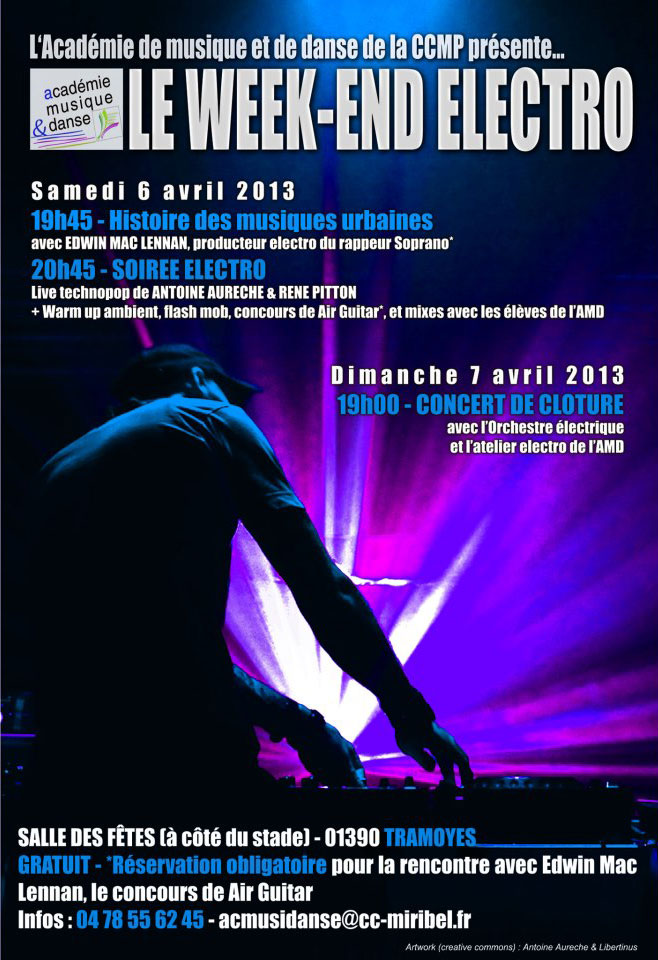 affiche week-end electro 2013